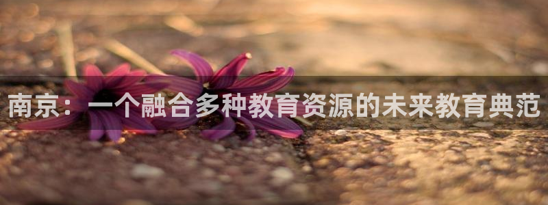 必一运动官网入口