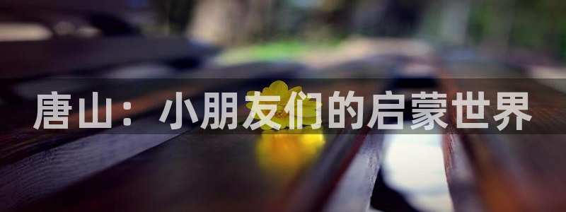 必一体育电子app