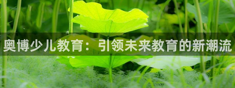 必一体育合法吗