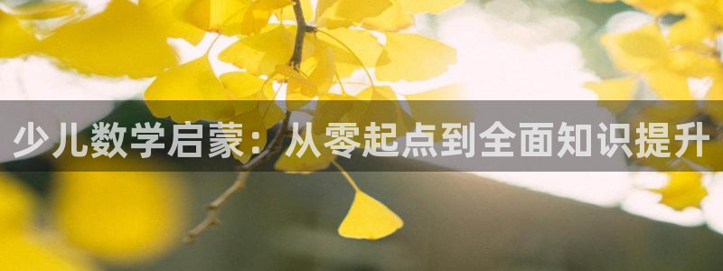 必一体育登录APP下载