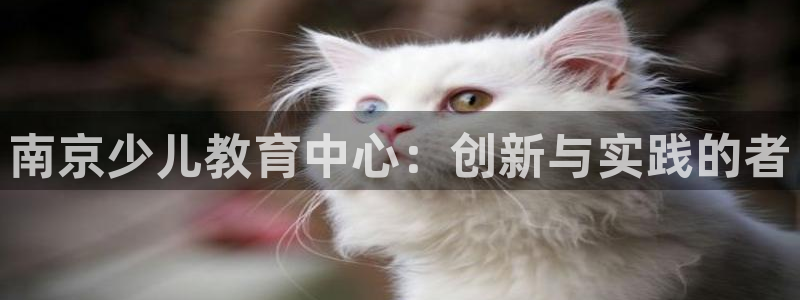 必一体育登录入口