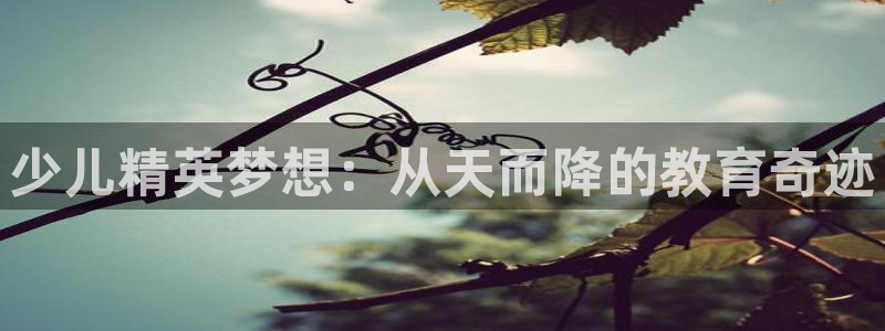 必一体育最新官网入口首页