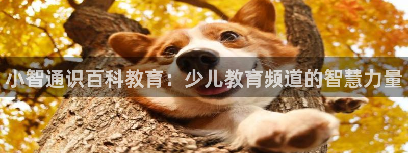 必一体育下载一样吗