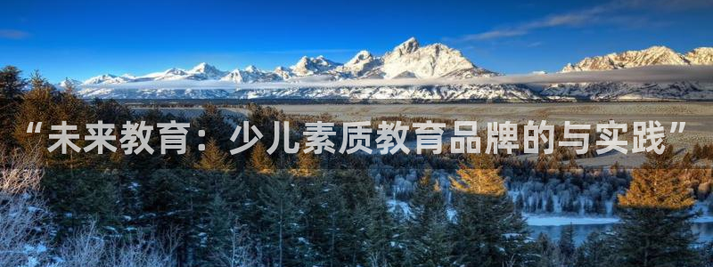 必一体育下载移动版