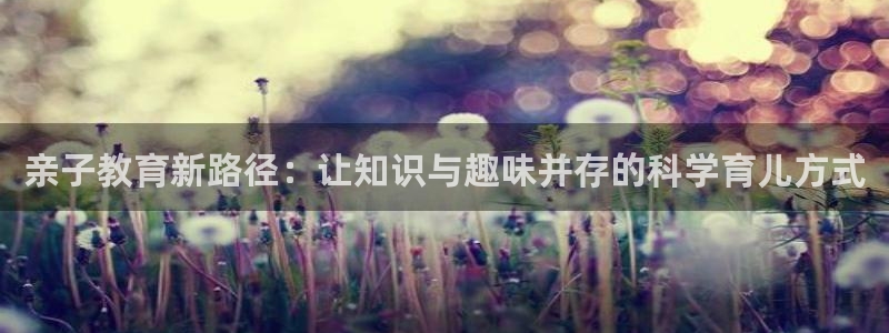 必一体育sport官方网站