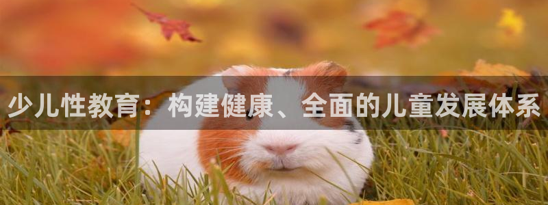 必一体育在哪下