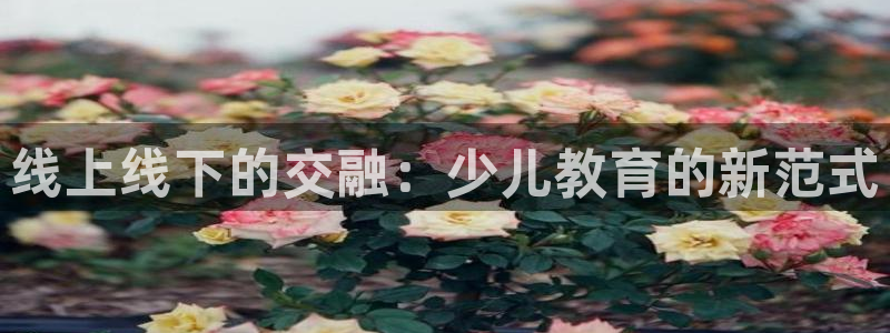 必一体育官方下载入口