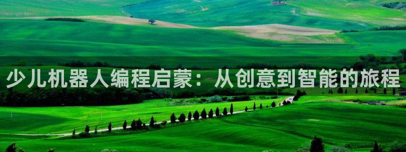 必一体育官网app