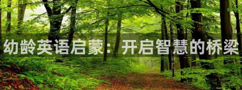 必一体育没了