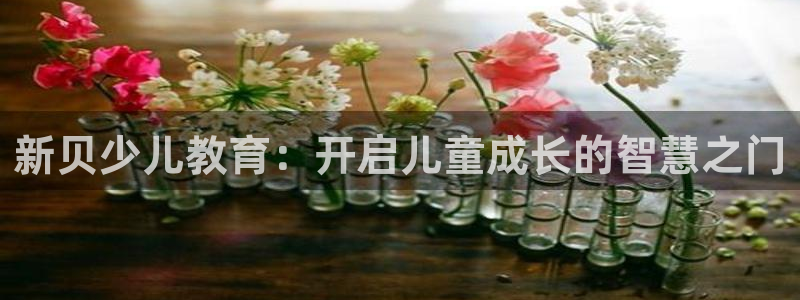 必一体育在线登陆