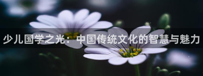 必一体育app官方网站