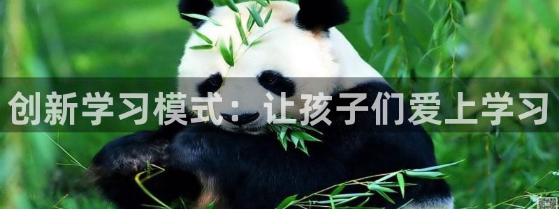 必一体育运动官网