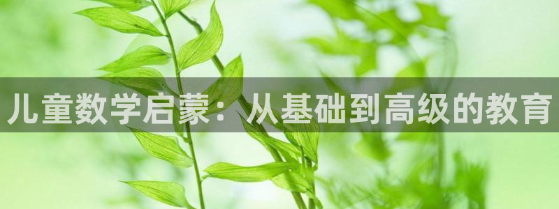 必一体育app平台下载