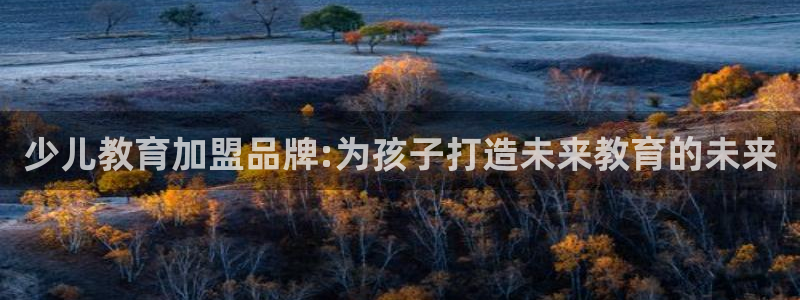 必一体育app官方下载入口
